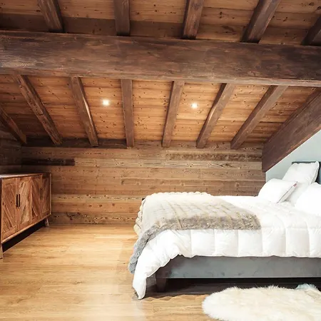 La Combe Blanche - Balcon Sur Le Mont-blanc Chalet *