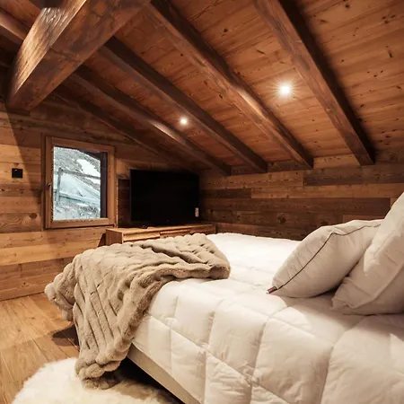 La Combe Blanche - Balcon Sur Le Mont-blanc Chalet *